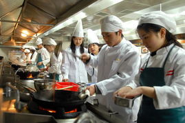 经院学生备战奥运餐饮服务